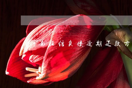 河南征信负债逾期还款方法 河南征信负债逾期还款方法