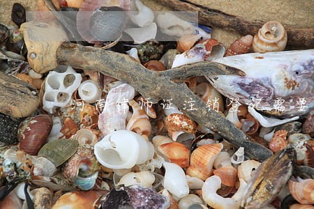 河南律师证注销登记需要多长时间 河南律师证注销登记需要多长时间