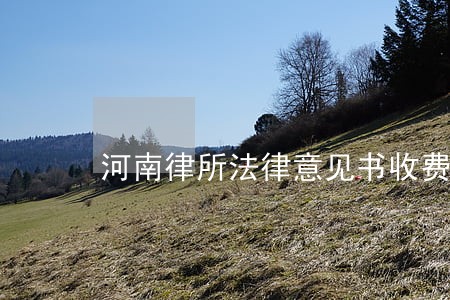 河南律所法律意见书收费