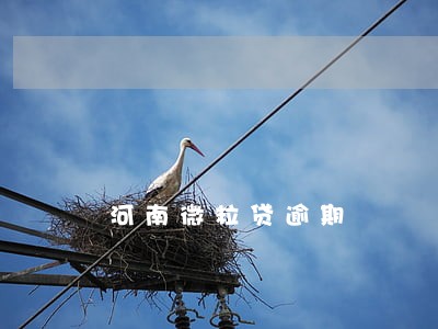 河南微粒贷逾期 河南微粒贷逾期