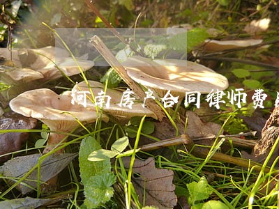河南房产合同律师费用 河南房产合同律师费用