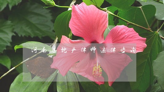 河南房地产律师法律咨询 河南房地产律师法律咨询