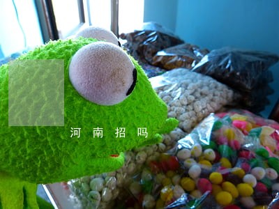 河南招吗