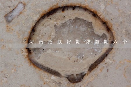 河南招联好期贷逾期六个月 河南招联好期贷逾期六个月