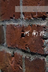 河南改革启动