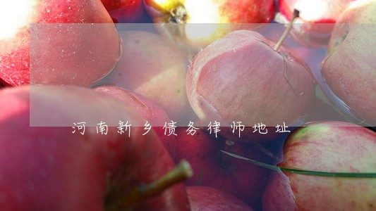 河南新乡债务律师地址 河南新乡债务律师地址