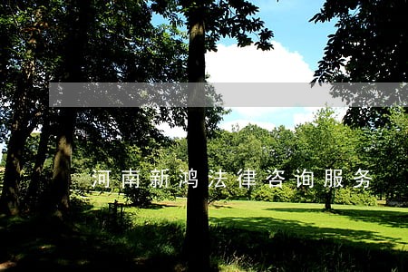 河南新鸿法律咨询服务 河南新鸿法律咨询服务