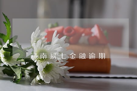 河南易七金融逾期 河南易七金融逾期