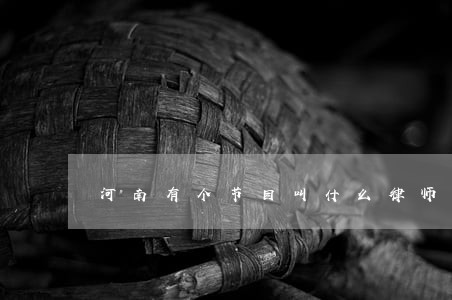 河南有个节目叫什么律师