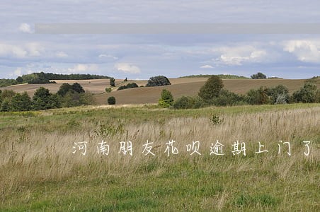 河南朋友花呗逾期上门了吗 河南朋友花呗逾期上门了吗