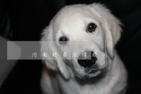 河南村居法律顾问 河南村居法律顾问