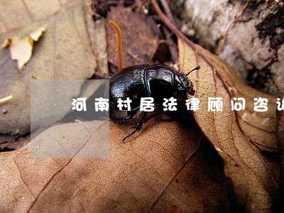 河南村居法律顾问咨询 河南村居法律顾问咨询