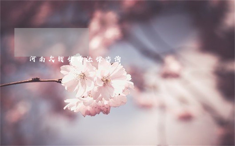 河南欠钱律师法律咨询 河南欠钱律师法律咨询