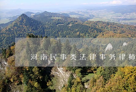 河南民事类法律事务律师