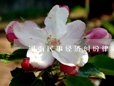 河南民事经济纠纷律师咨询 河南民事经济纠纷律师咨询