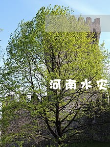 河南水灾贷款逾期 河南水灾贷款逾期