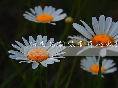 河南法制频道拜托啦律师节目回放 河南法制频道拜托啦律师节目回放