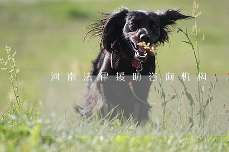 河南法律援助咨询机构 河南法律援助咨询机构