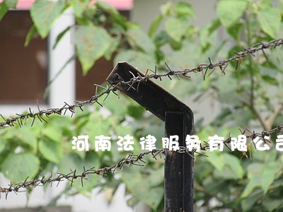 河南法律服务有限公司