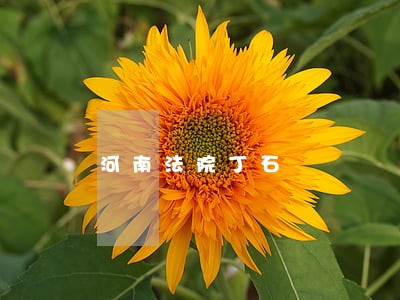 河南法院丁石 河南法院丁石