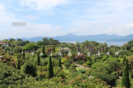 河南法院免费咨询律师 河南法院免费咨询律师