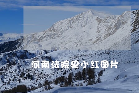 河南法院史小红图片 河南法院史小红图片