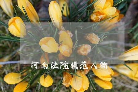 河南法院模范人物 河南法院模范人物