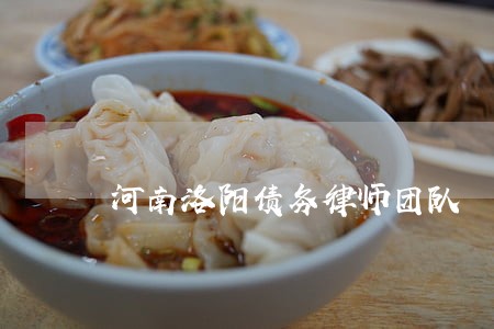 河南洛阳债务律师团队 河南洛阳债务律师团队