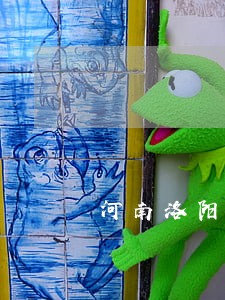 河南洛阳毕业报到证逾期怎么解决 河南洛阳毕业报到证逾期怎么解决
