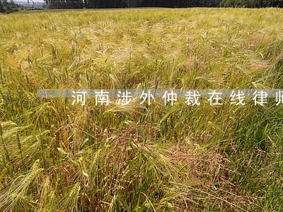 河南涉外仲裁在线律师
