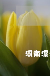河南漯河律师何继纲的专栏 河南漯河律师何继纲的专栏