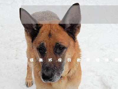 河南环保罚款处理律师团队 河南环保罚款处理律师团队
