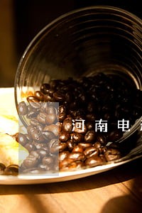 河南电动汽车法规