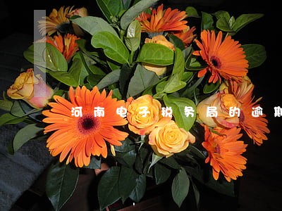 河南电子税务局的逾期申报 河南电子税务局的逾期申报