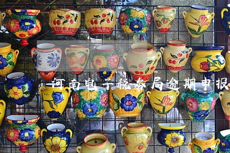 河南电子税务局逾期申报在哪里 河南电子税务局逾期申报在哪里