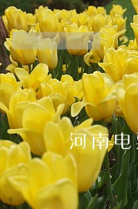 河南电票逾期提示承兑 河南电票逾期提示承兑