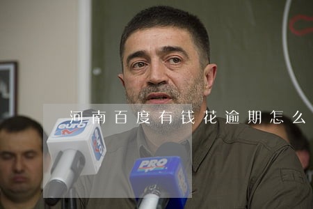 河南百度有钱花逾期怎么办 河南百度有钱花逾期怎么办