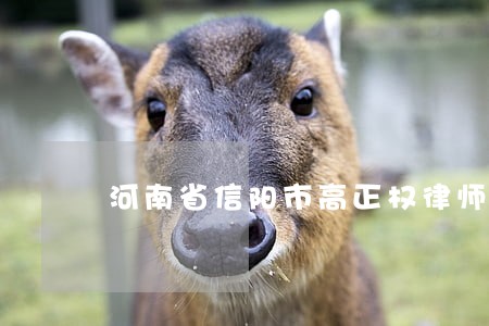 河南省信阳市高正权律师 河南省信阳市高正权律师