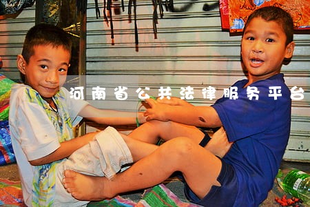 河南省公共法律服务平台中标公告
