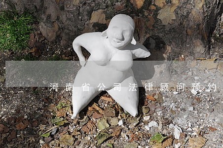 河南省公司法律顾问预约 河南省公司法律顾问预约