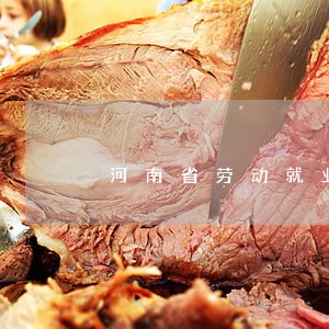 河南省劳动就业法律咨询 河南省劳动就业法律咨询