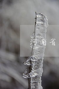 河南省厅执法证项目招标公告 河南省厅执法证项目招标公告