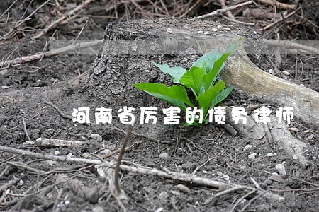 河南省厉害的债务律师 河南省厉害的债务律师