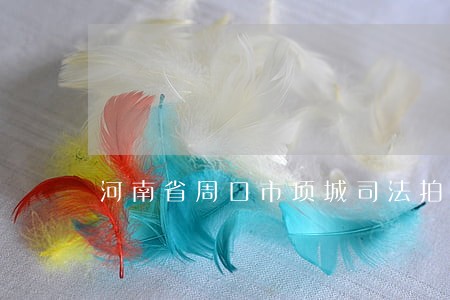 河南省周口市项城司法拍卖 河南省周口市项城司法拍卖