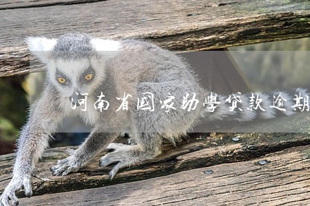 河南省国家助学贷款逾期率 河南省国家助学贷款逾期率