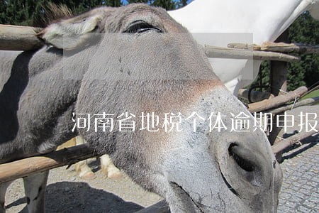 河南省地税个体逾期申报处罚 河南省地税个体逾期申报处罚