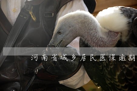 河南省城乡居民医保逾期缴费 河南省城乡居民医保逾期缴费
