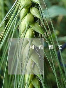 河南省安阳县人民法院在哪里 河南省安阳县人民法院在哪里