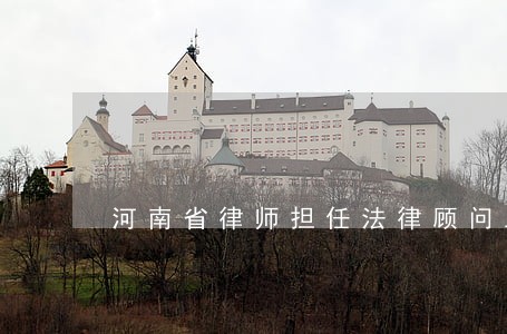 河南省律师担任法律顾问工作细则 河南省律师担任法律顾问工作细则