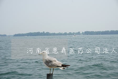河南省恩鼎医药公司法人
